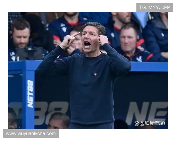 水晶宫球迷客场喊格拉斯纳下课